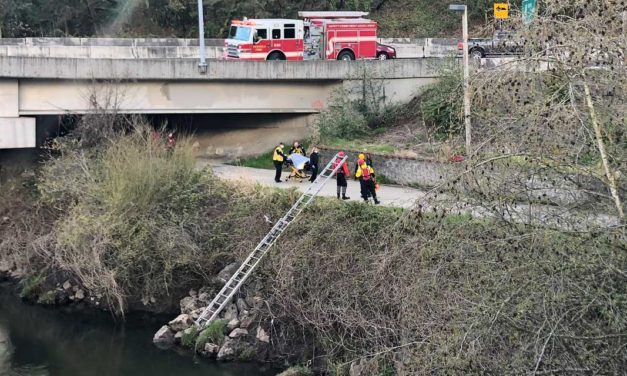 Man rescued from Green River in Tukwila Wednesday afternoon