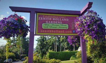 30% savings on Trees and Shrubs through Oct. 31; PLUS so much to discover at Zenith Holland Nursery