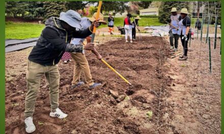 Grant program will award over $226K to South King County orgs for environmental improvements