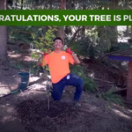 Tukwila residents can sign up now for free trees in 2025 giveaway