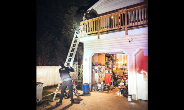 Burglary scare at Tukwila home ends with no suspect found