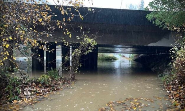 Flood waters close sections of Green River Trail in Tukwila Wednesday