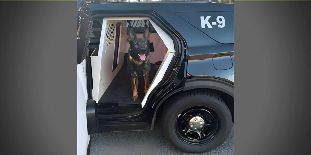 Tukwila police use K9 and drone to arrest man with felony warrant after foot chase