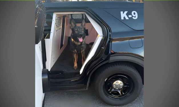 Tukwila police use K9 and drone to arrest man with felony warrant after foot chase