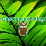 MASTER GARDENERS: Gardening: A gentle invitation to begin again