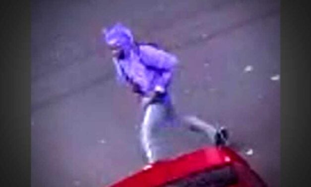 Police ask public to identify suspect in Longacres trail assault